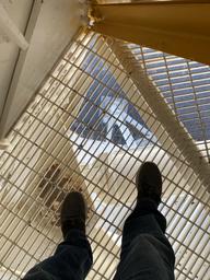 View down through the floor grate while climing down from the dish.